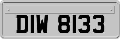 DIW8133