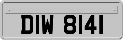 DIW8141