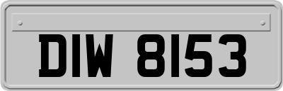 DIW8153