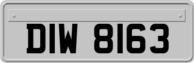 DIW8163