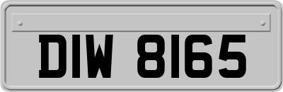 DIW8165