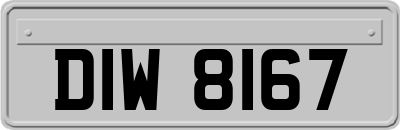 DIW8167