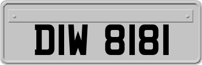 DIW8181