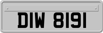 DIW8191