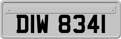 DIW8341