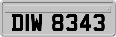 DIW8343