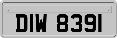 DIW8391