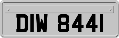 DIW8441