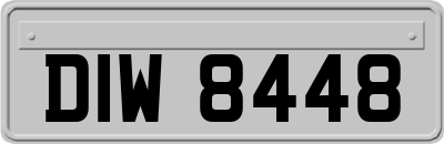 DIW8448
