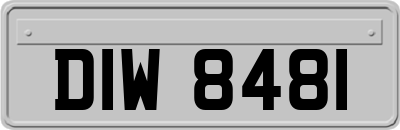 DIW8481