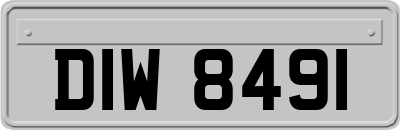 DIW8491