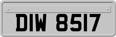DIW8517