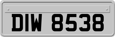 DIW8538