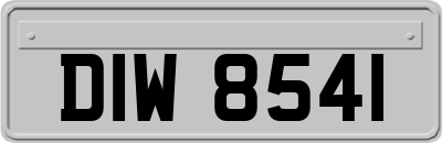 DIW8541