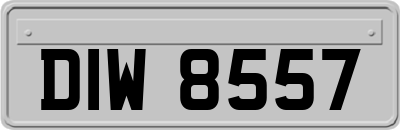 DIW8557