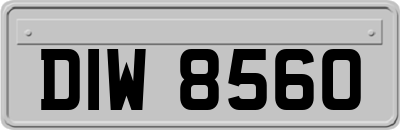 DIW8560