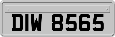 DIW8565
