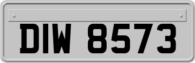 DIW8573