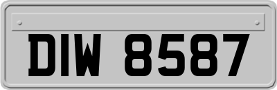 DIW8587