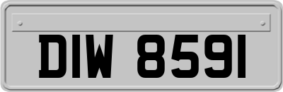 DIW8591