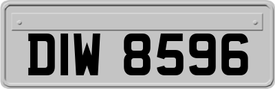 DIW8596