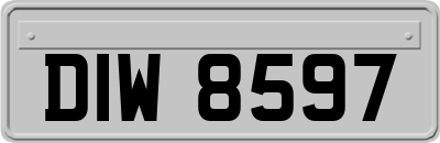 DIW8597