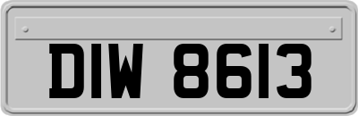 DIW8613