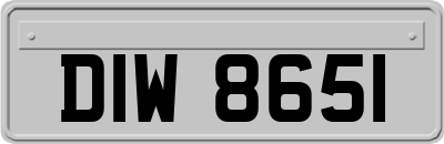 DIW8651