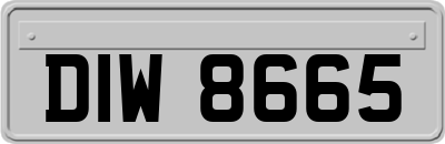 DIW8665