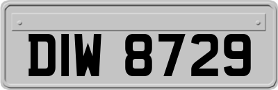 DIW8729
