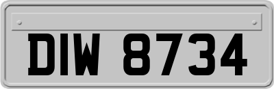 DIW8734