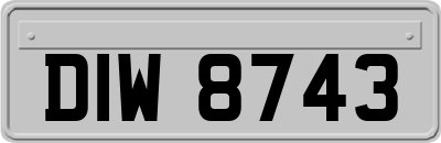DIW8743