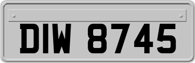 DIW8745