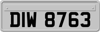 DIW8763