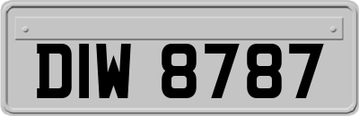 DIW8787