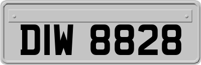 DIW8828