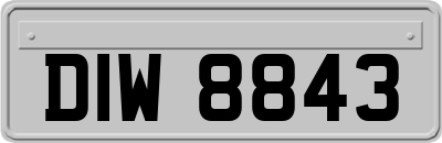 DIW8843