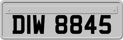 DIW8845