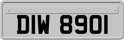 DIW8901
