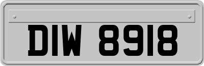 DIW8918