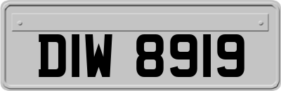 DIW8919