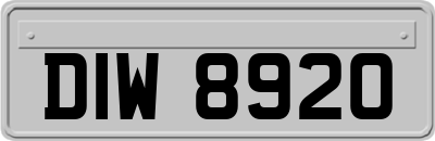 DIW8920