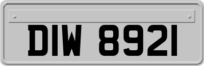DIW8921