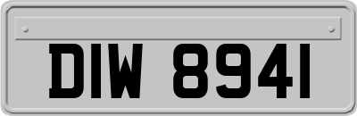 DIW8941