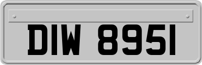 DIW8951