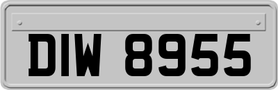 DIW8955