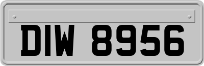 DIW8956