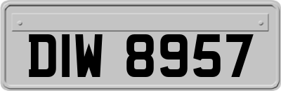 DIW8957