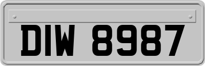 DIW8987