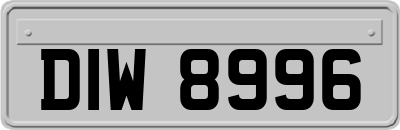 DIW8996